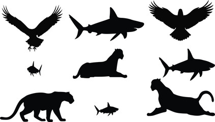 Animal silhouettes, bird shark big cat mix, black outlines, wildlife shapes, nature icons, posture grid, identification chart, design reference