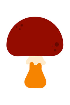 Minimal illustration of a brown-capped mushroom, slippery jack. Perfect for autumn, forest, fungi, woodland, fairy tale, foraging, nature, botanical, and seasonal designs, art. High resolution PNG