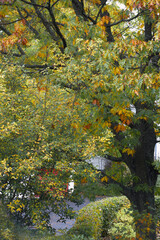Schönes Herbstwetter in Waldlandschaft und im Park in Marburg unterwegs