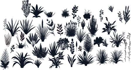 Extensive botanical silhouette collection, featuring diverse grasses, ferns, and shrubs for natural landscape, garden, and architectural graphic design assets.