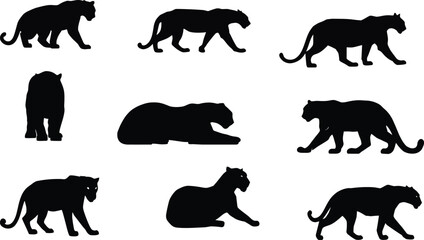 Stealthy Panther and Leopard Silhouettes Vector Set, Big Cat Predator Icons in Various Poses, Isolated Wildlife Fauna.