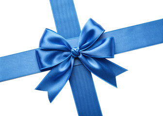 blue bow isolated on white