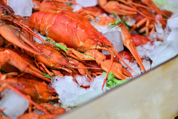 box of boiled crayfish with ice and salad