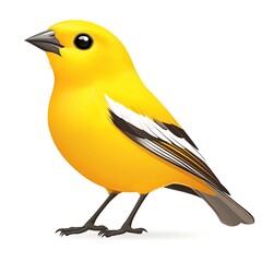 Fototapeta premium Bright Yellow Bird with photo White Wing Markings on White Background small bird avian