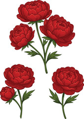 Red Peony Flowers Vector Illustration bloom blossom