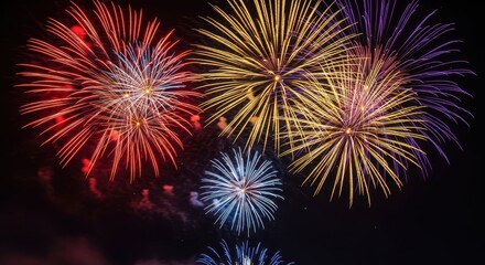 Night Sky Fireworks: A breathtaking display of colorful fireworks explodes across the night sky, illuminating the darkness with bursts of vibrant light and celebrating a moment of joy and celebration.