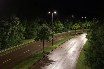 Road with a few trees on the side and a few street lights