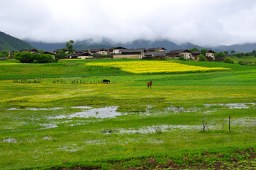 Scenic rural landscape with green fields and distant houses