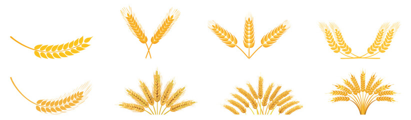 Wheat elements indian lohri, baiskhi, pongl, onam, bihu, makar, snkranti, gudi, padwa, nuakhai, puja, devi, fastival, vector, illustration, 