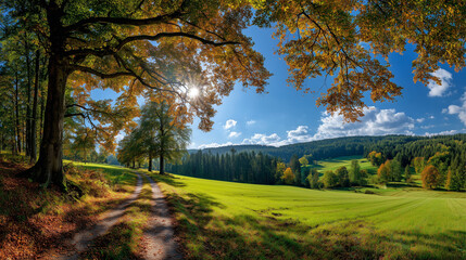 panoramic view of an autumn landscape with trees and a green field, sun rays filtering through the leaves, a blue sky, and a forest path in the foreground - a beautiful natural scenery.