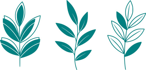 Abstract Botanical Silhouette Set with Geometric Lines. Minimalist Modern Art, Nature, Leaf, Decor, Organic Shape, Hand Drawn, Black Vector, Clean.