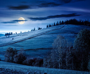 forest on grassy hill in autumn at night. beautiful rural scenery with rolling pasture. mountainous...