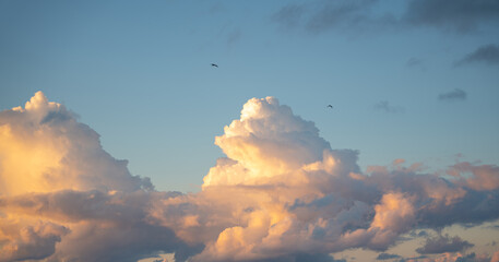 Dramatic sunset sky with massive cumulus clouds bathed in golden light and birds silhouetted against the blue atmosphere. Heavenly soft evening atmosphere