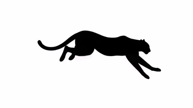 Running cheetah silhouette isolated on white background.