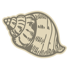 A stylized, hand-drawn illustration of a spiral seashell in a vintage woodcut style, isolated on a white background.