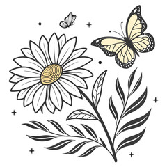 Hand-drawn daisy and butterfly illustration with botanical elements