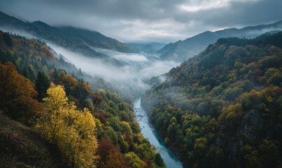 Misty River Valley Surrounded by Colorful Autumn Foliage Landscape