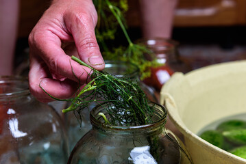 Preservation of season vegetables. Woman's hands preparing ingredients for canned food, cooking process. 