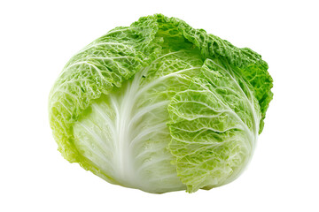 Fototapeta premium Napa cabbage isolated on transparent background