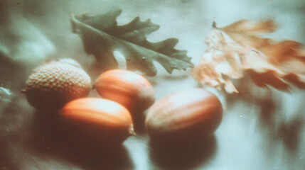 Close-up of acorns and leaves scattered on a background - Retro blurry creative photography 