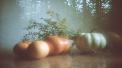 some pumpkins and squash in, light streaming through the trees minimalist and elegant style, warm autumn color palette - Retro blurry creative photography 