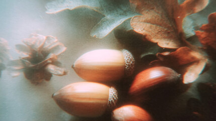 Close-up of acorns and leaves scattered on a background - Retro blurry creative photography 