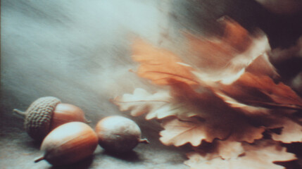 Close-up of acorns and leaves scattered on a background - Retro blurry creative photography 