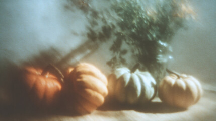 some pumpkins and squash in, light streaming through the trees minimalist and elegant style, warm autumn color palette - Retro blurry creative photography 