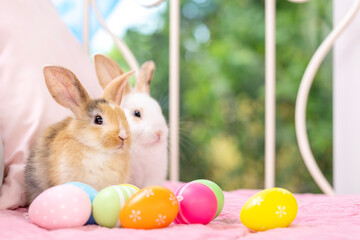 Lovely bunny easter fluffy baby rabbit relaxing in living room with colorful easter eggs on green garden nature background on warmimg day. Symbol of easter day festival. 