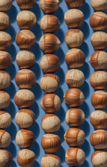 Hazelnuts arranged in rows with blue background and natural light  