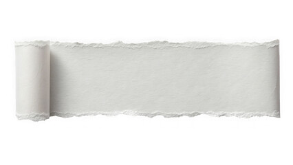 Torn paper strip with a rolled edge isolated on transparent background