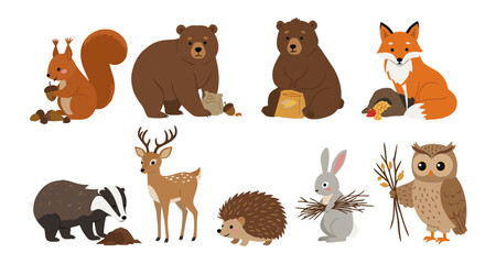 Fototapeta premium Forest animals collection with squirrel, bear, fox, deer, badger, hedgehog, rabbit, and owl
