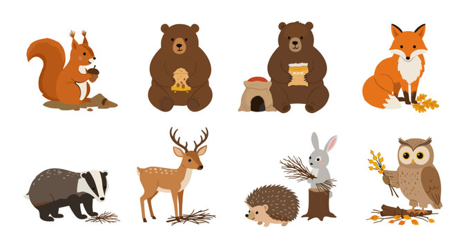 Cute woodland animals with autumn themes in flat design