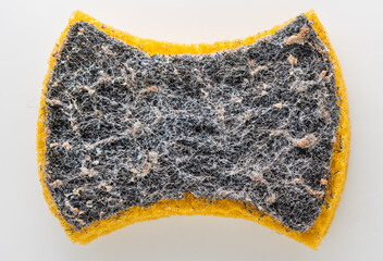 Used kitchen sponge with dirt and debris buildup