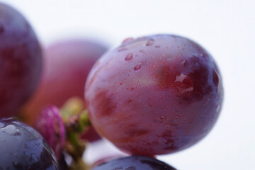 Close-Up of Whole and Sliced Plums in Clean Minimalist Composition