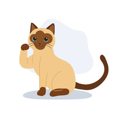 cute siamese cat sitting and raising paw. for posters cards and merchandise