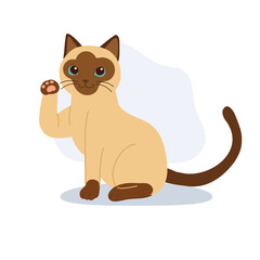 a cute siamese cat illustration showing a waving paw. a friendly domestic cat with blue eyes