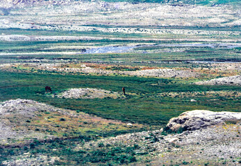 Mountain landscape along the road to Spluga pass, Italy