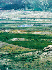 Mountain landscape along the road to Spluga pass, Italy