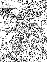 Obraz premium black and white seamless pattern
