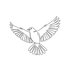 Dove flying wings peace outline illustration 