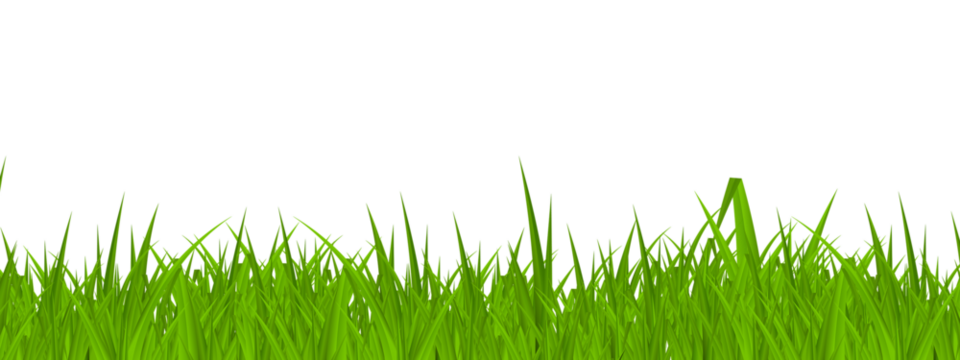 green grass isolated on transparent background - 1