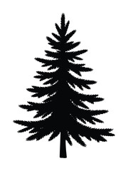 Pine Tree Silhouette Vector for Nature and Forest