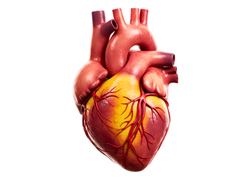 Elaborate curled dark brown mustache isolated on transparent background - Powered by Adobe