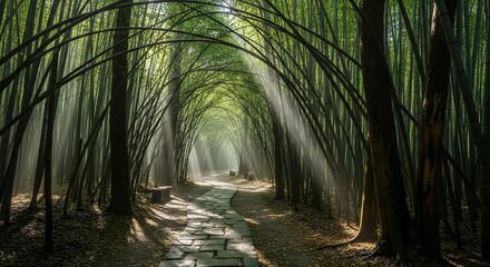 Enchanting forest path sunlight rays serene nature landscape mystical atmosphere