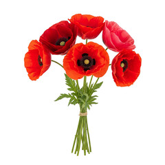 bouquet of red poppies