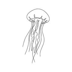 Jellyfish floating tentacles ocean outline illustration
 