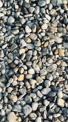 Close-up of various smooth gray pebbles
