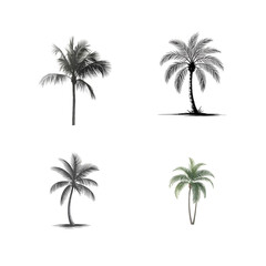 Fototapeta premium Four palm trees isolated on transparent background, each with a unique silhouette and style, creating a diverse tropical collection