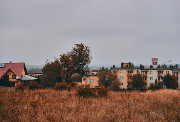 łaka ,jessie  © Marcin Łazarczyk